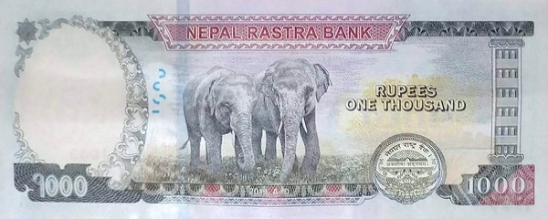 PN82 Nepal - 1000 Rupees Year 2019